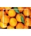 Mandarinas 10 Kgs