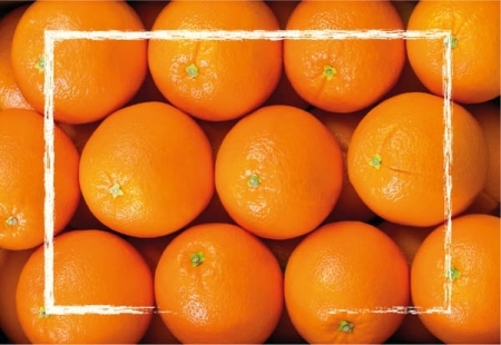 Naranjas 15 Kgs