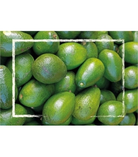 Aguacates 10 Kgs