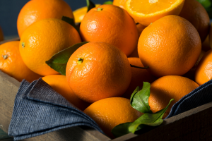 naranjas-ecologicas-directas-del-agricultor