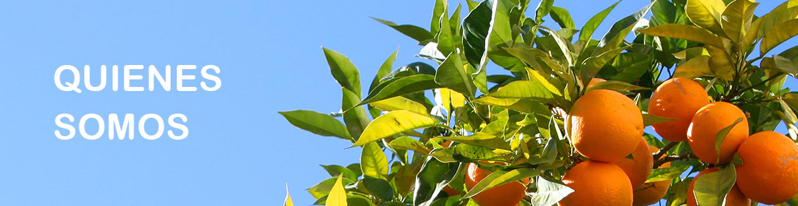 Quienes_somos.jpg
